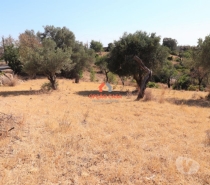 Terrenos Faro - Fotos para Terreno com ruína para recuperar Loulé